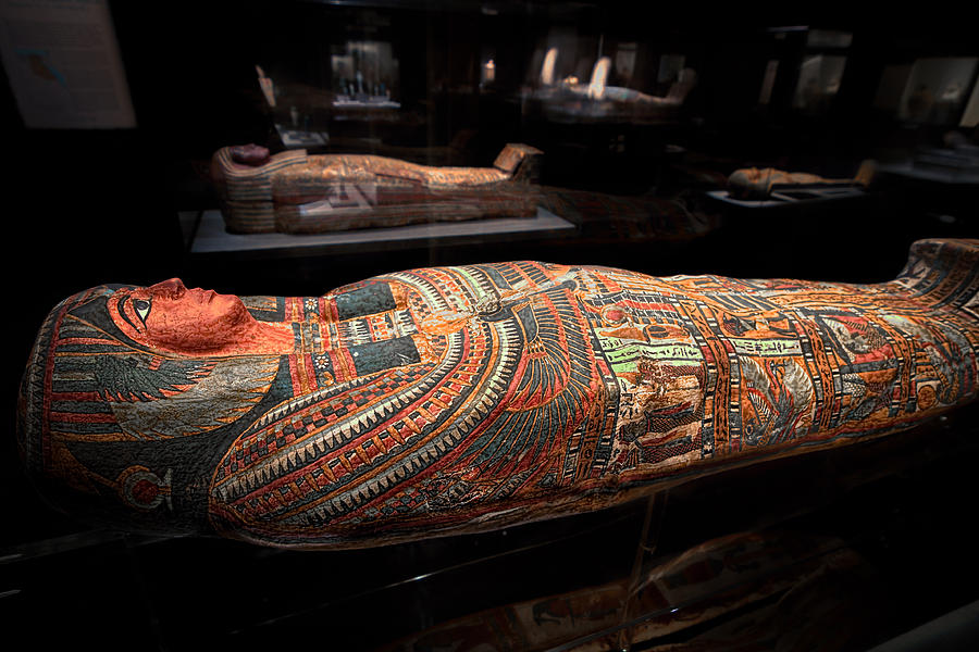 The Hall of Ancient Egypt Mummy Room Photograph by Tim Stanley