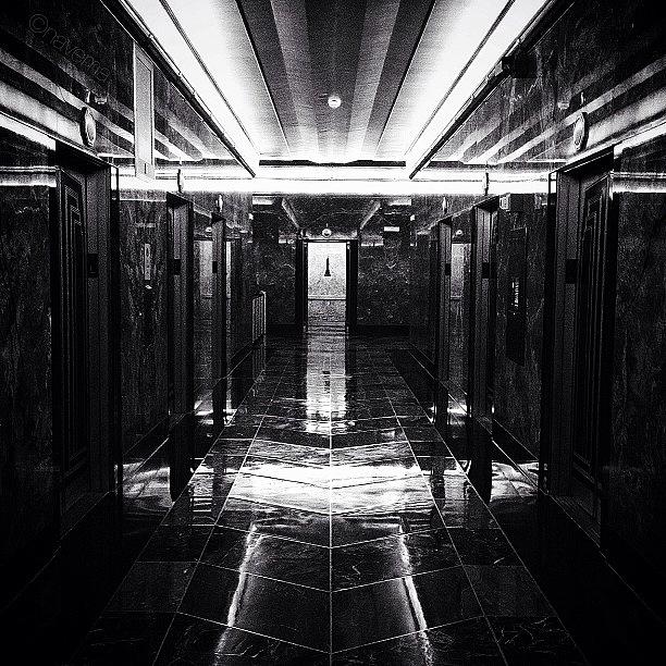 The Halls Of The Empire State Photograph by Natasha Marco