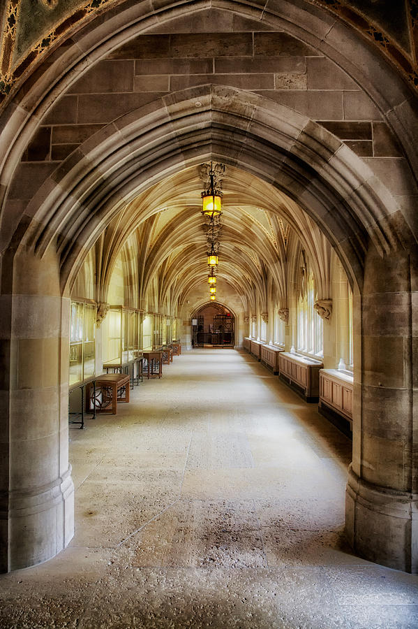 Yale University Photograph - The Halls of Yale by Mountain Dreams