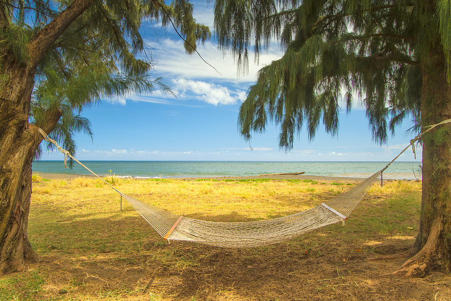 The Hammock and The Beach Photograph by Roger Mullenhour