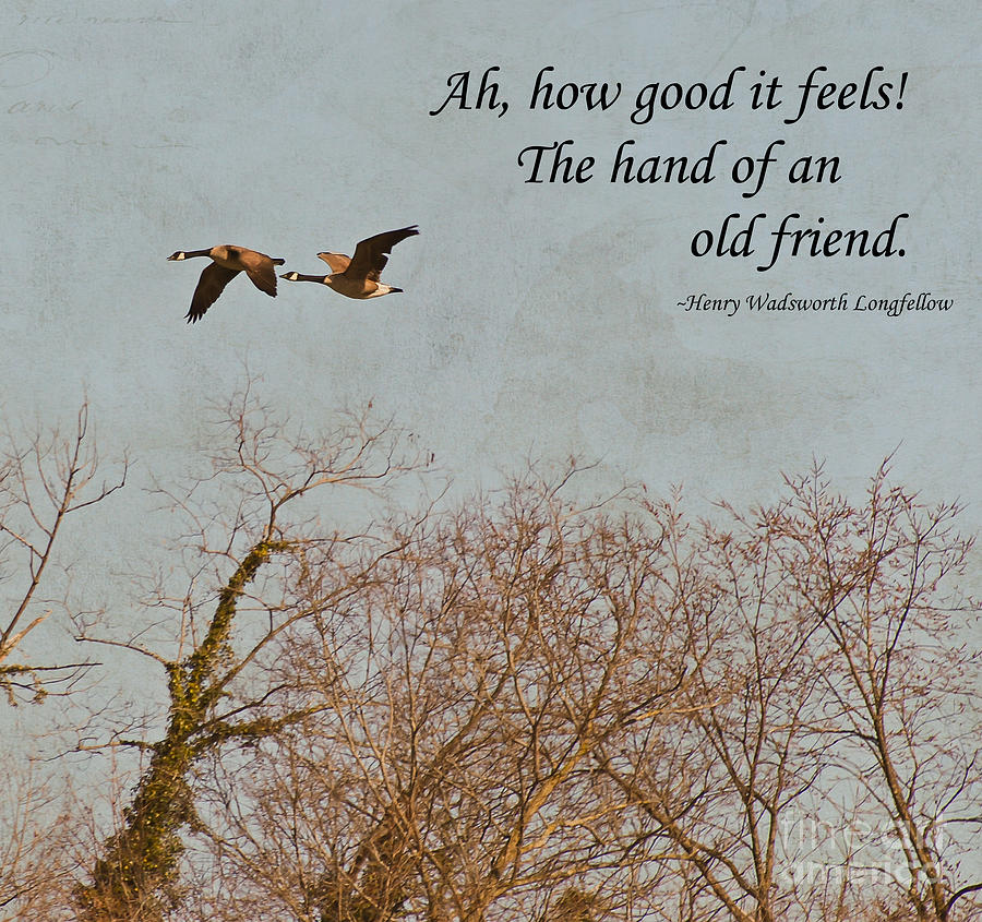 Geese Photograph - The Hand of Friendship by Kerri Farley