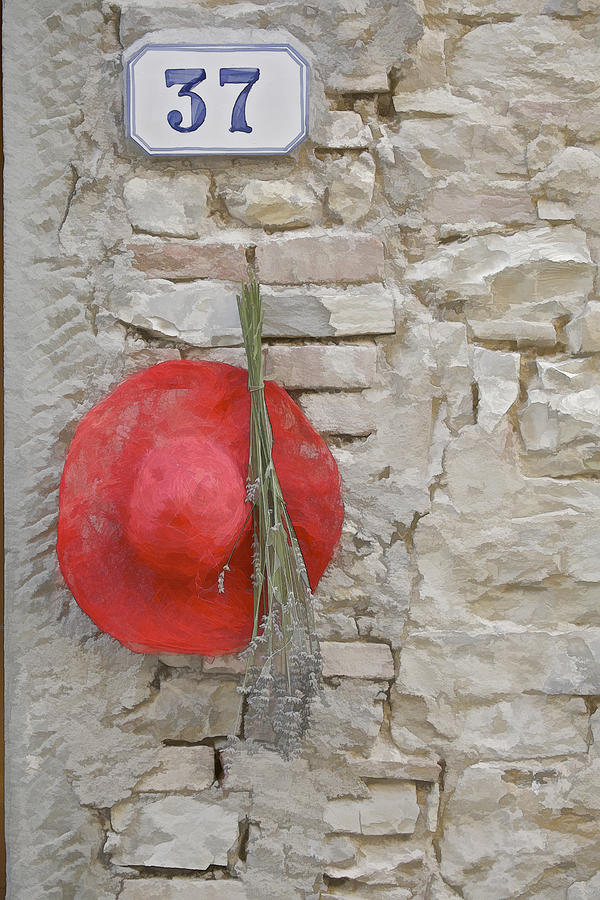 The Hanging Red Hat Photograph by David Letts