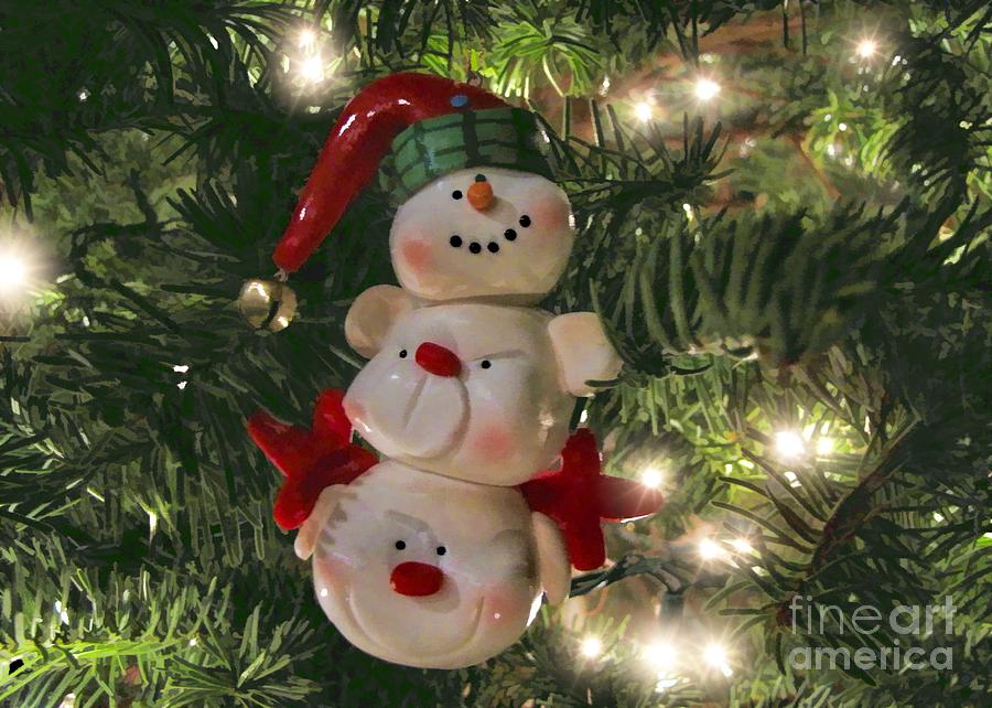 Christmas Photograph - The Happy Snowman by Peggy Hughes