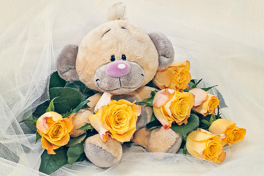 Rose Photograph - The happy teddy bear by Cristina-Velina Ion