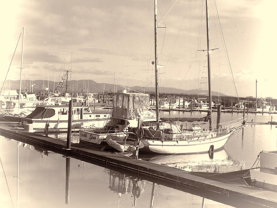 The Harbor at Ilwaco Photograph by HW Kateley