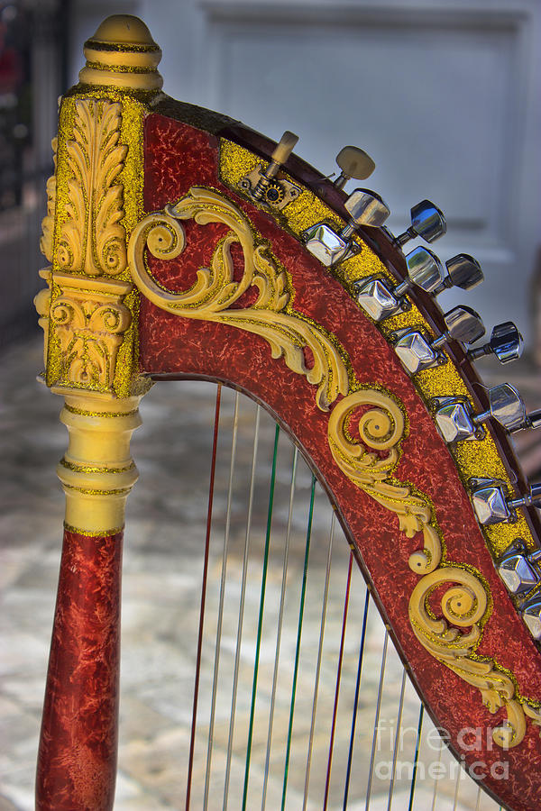 Harp Photograph - The Harp by Al Bourassa