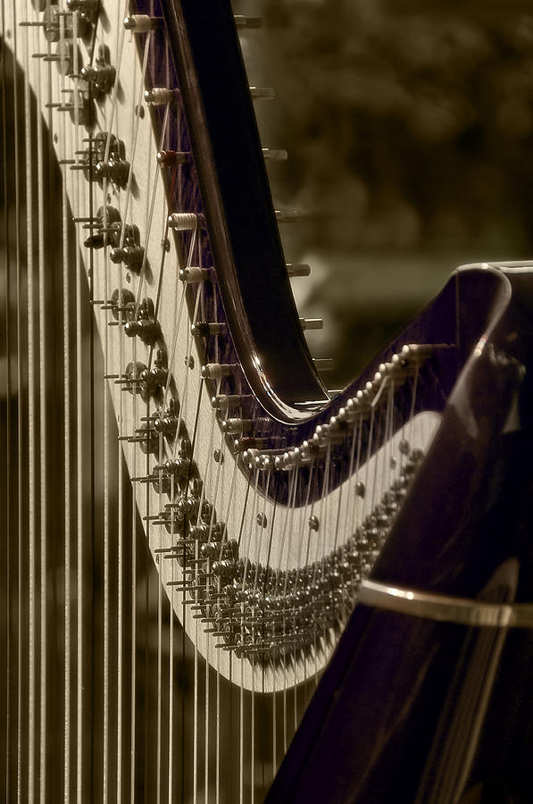The Harp Photograph by Celso Bressan