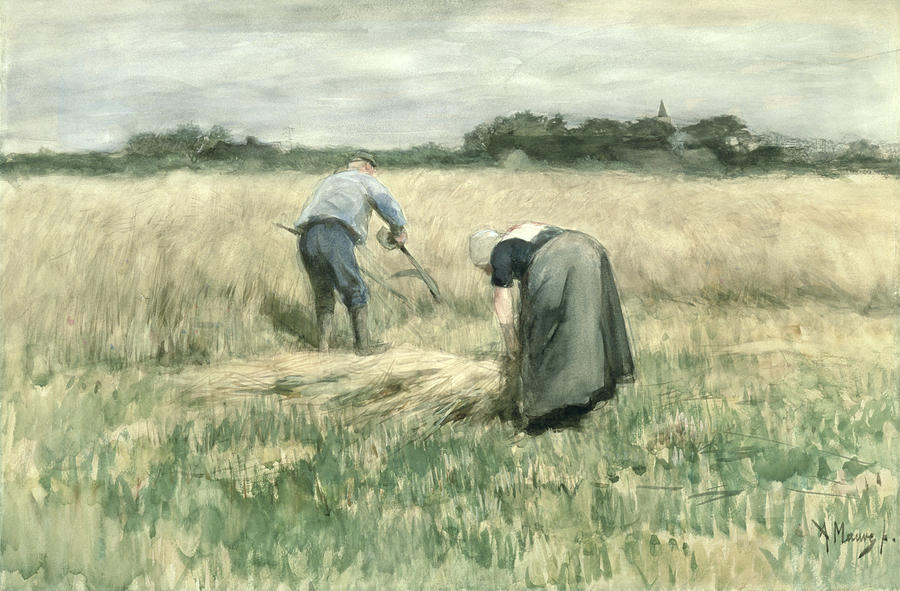 The Harvest Drawing by Anton Mauve