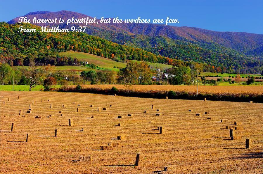 The Harvest is Plentiful but the Workers Are Few - From Matthew 9.37 - Autumn Shenandoah Valley Photograph by Michael Mazaika