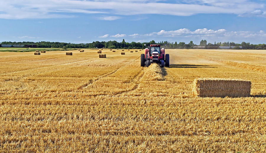 The Harvest Photograph by Keith Armstrong