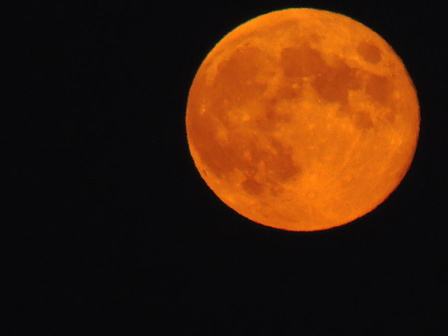 Moon Photograph - The Harvest Moon in Orange by Anastasia Konn