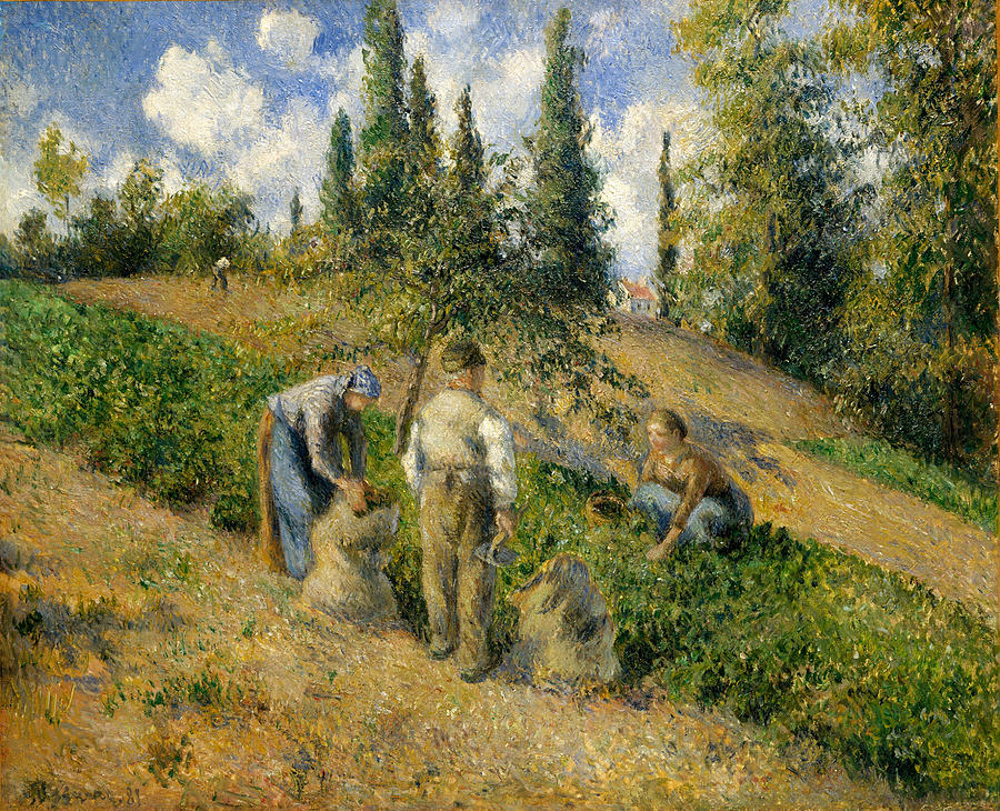 Camille Pissarro Painting - The Harvest. Pontoise by Camille Pissarro