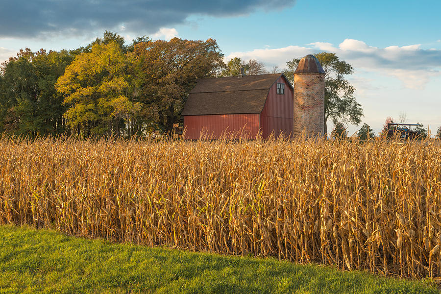 The Harvest Season Photograph by Shane Mossman | Fine Art America