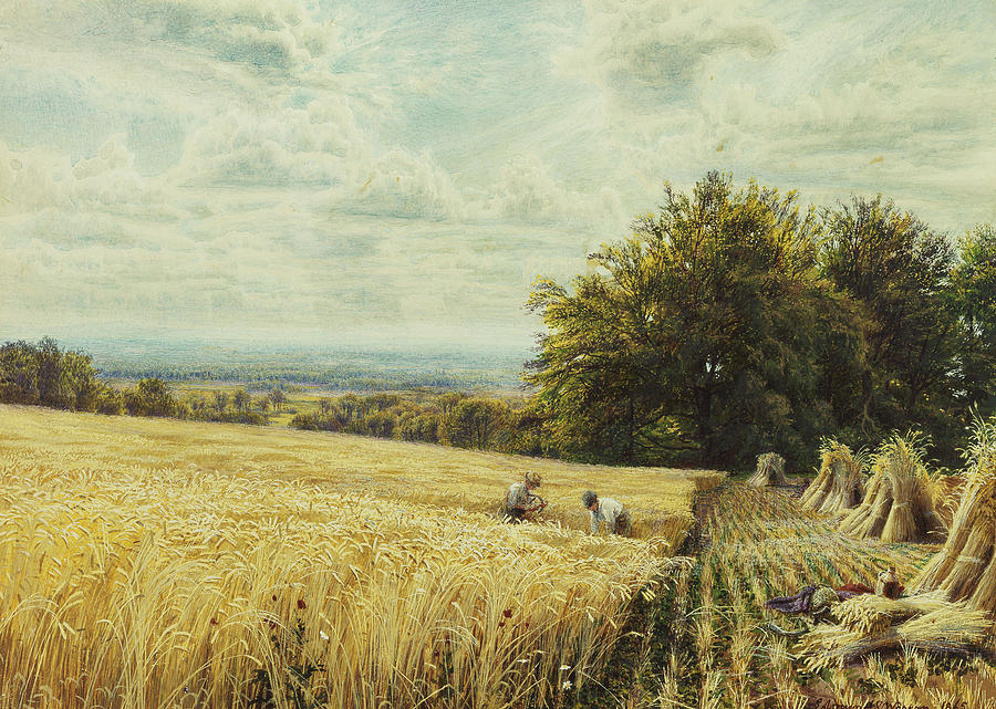 The Harvesters Painting by Edmund George Warren