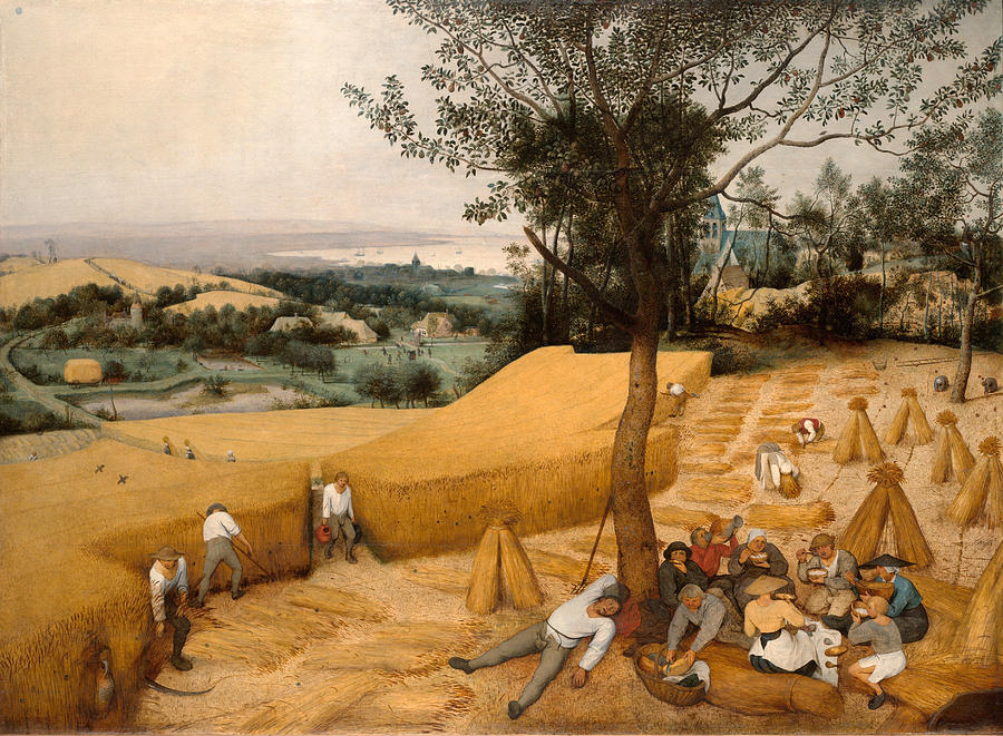 The Harvesters Painting by Pieter Bruegel the Elder