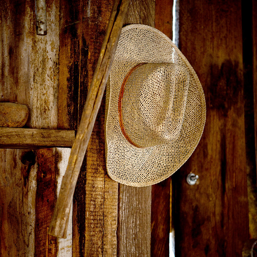 The Hat Photograph by Art Block Collections