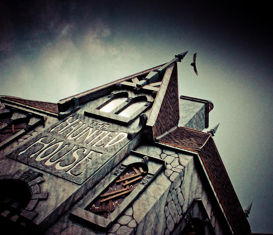 The Haunted House  Photograph by Eti Reid