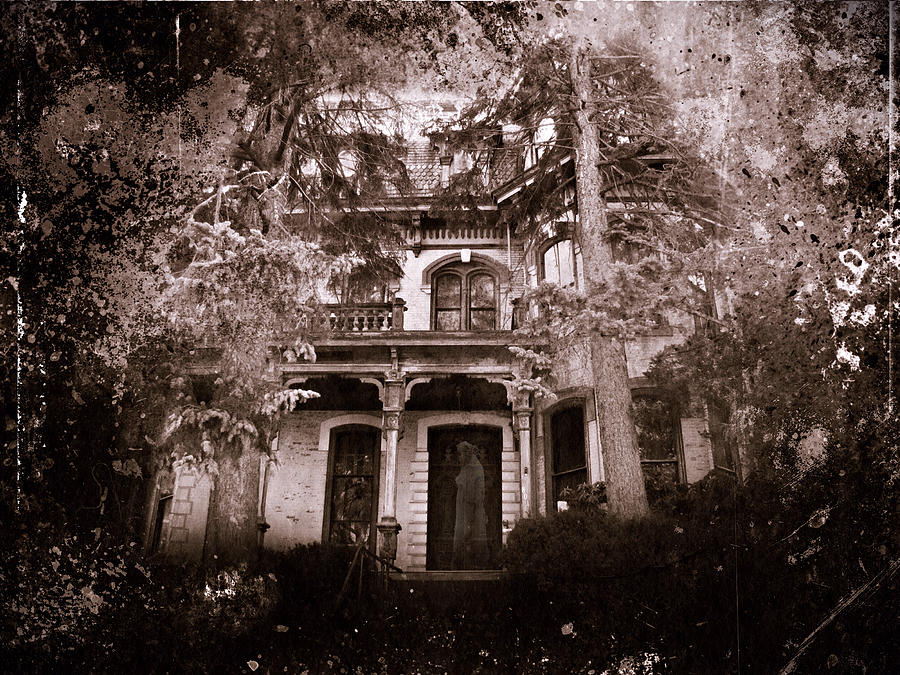 The Haunting Photograph by David Dehner
