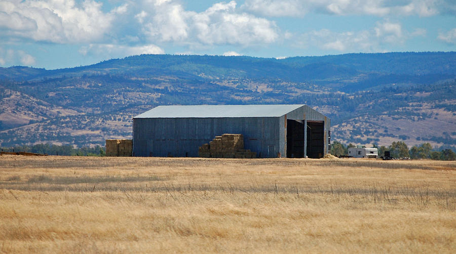 The Hay Shed Photograph by Holly Blunkall