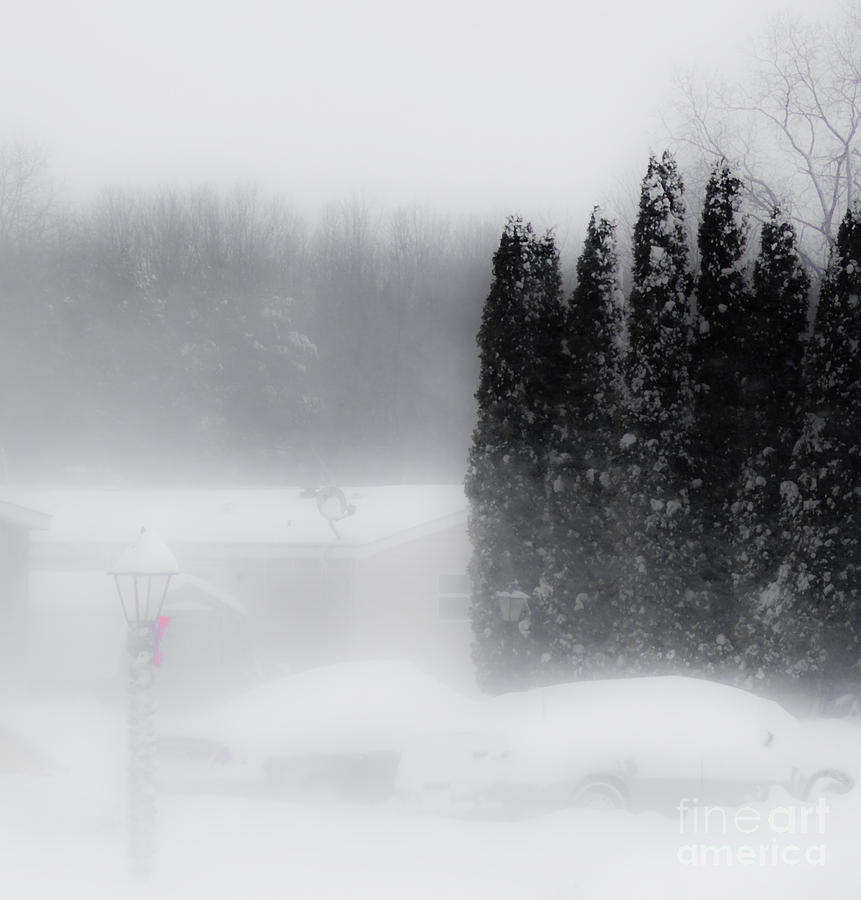 The Haze of Winter Photograph by Tara Lynn