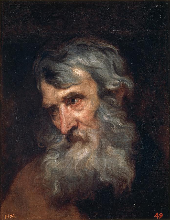 The Head of an Old Man Painting by Anthony van Dyck