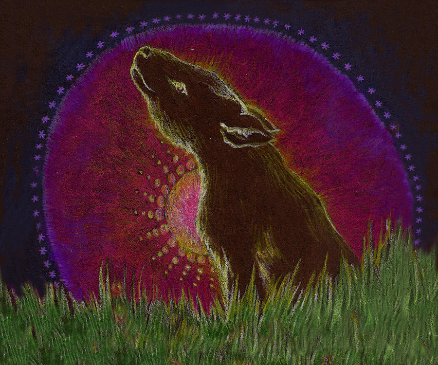 Animal Drawing - The Heart of an Animal by Lydia Erickson Animal Drawing - The Heart of an Animal by Lydia Erickson