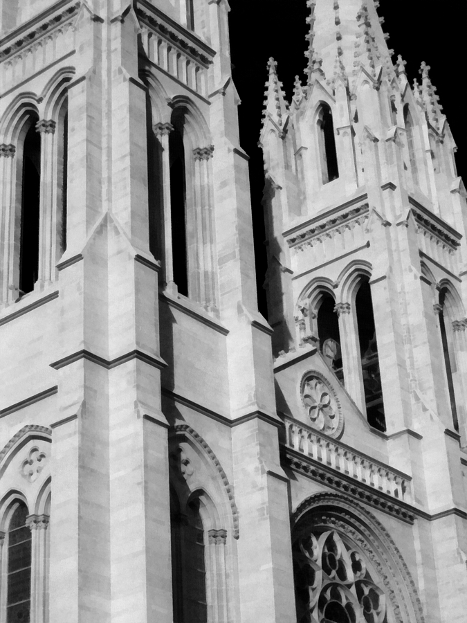 The Heights Of The Cathedral Basilica of the Immaculate Conception BW Photograph by Angelina Tamez