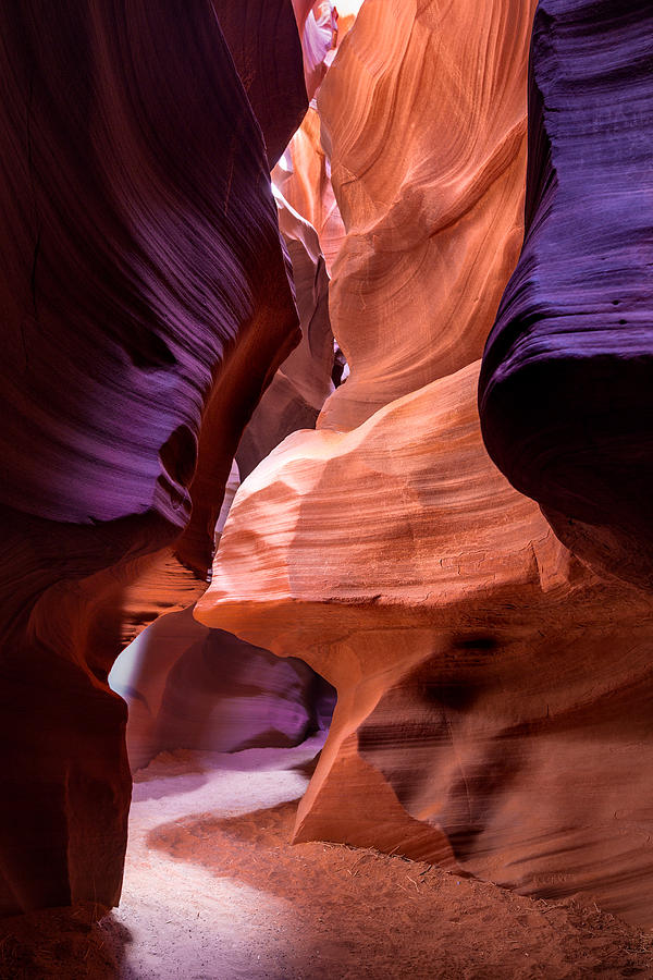 The Hidden Path by Brad Brizek The Hidden Path by Brad Brizek