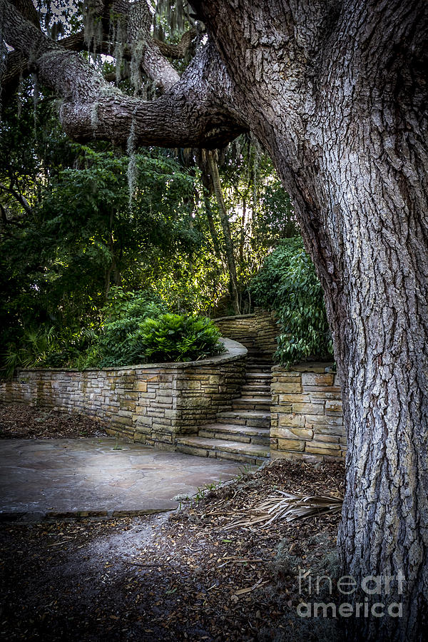 Cobblestone Photograph - The Hidden Steps 2 by Marvin Spates