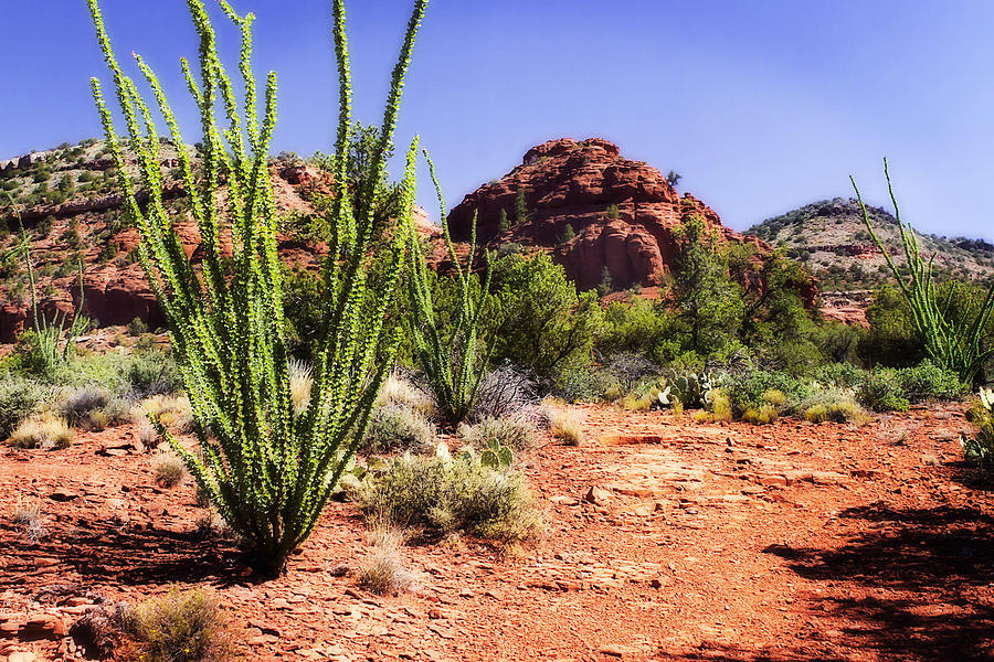 The High Desert -4 Photograph by Alan Hausenflock