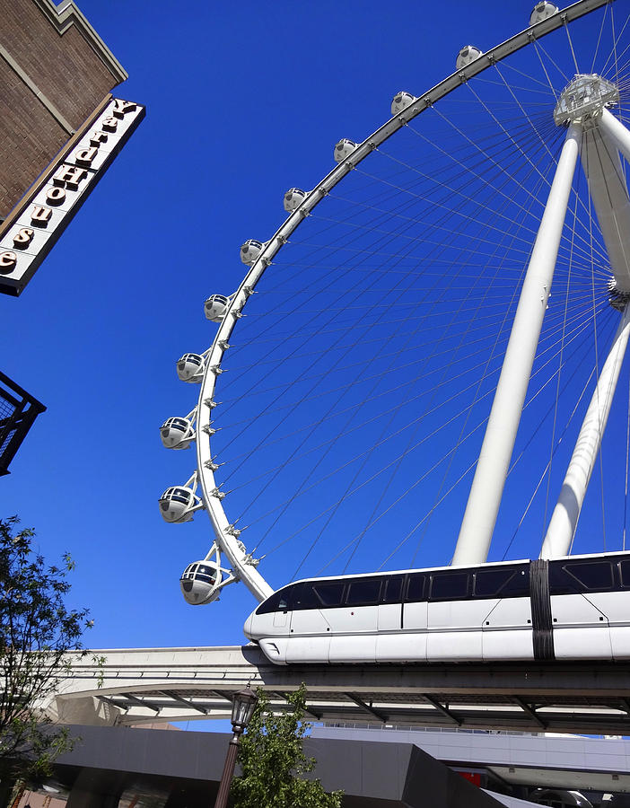 The High Roller Photograph by Donna Spadola
