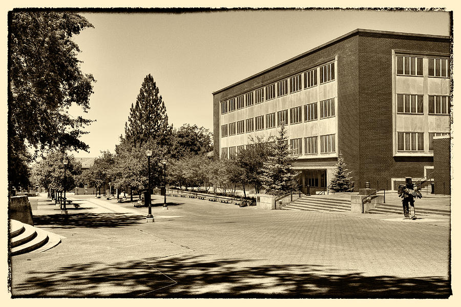 The Holland Library on the Washington State University Campus Photograph by David Patterson