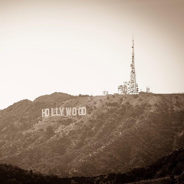 Nature Photograph - The Hollywood Sign View From Griffith by Tony Castle
