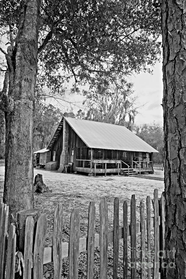 The Home Place Photograph by Southern Photo