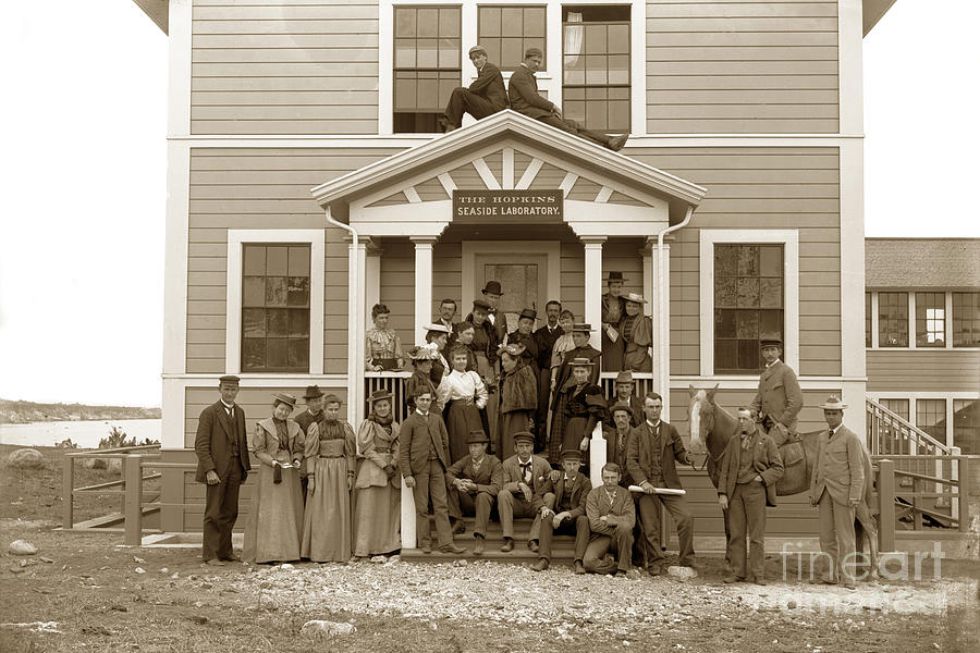 University Photograph - The Hopkins Seaside Laboratory at Lovers Point Pacific Grove California circa 1893 by Monterey County Historical Society