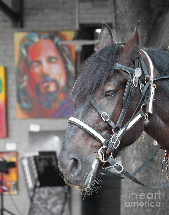 The Big Lebowski Photograph - The Horse Abides by Robert Yaeger