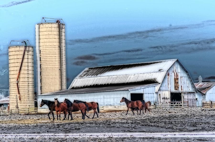 Horse Photograph - The HOrse Barn by Cheryl Cencich