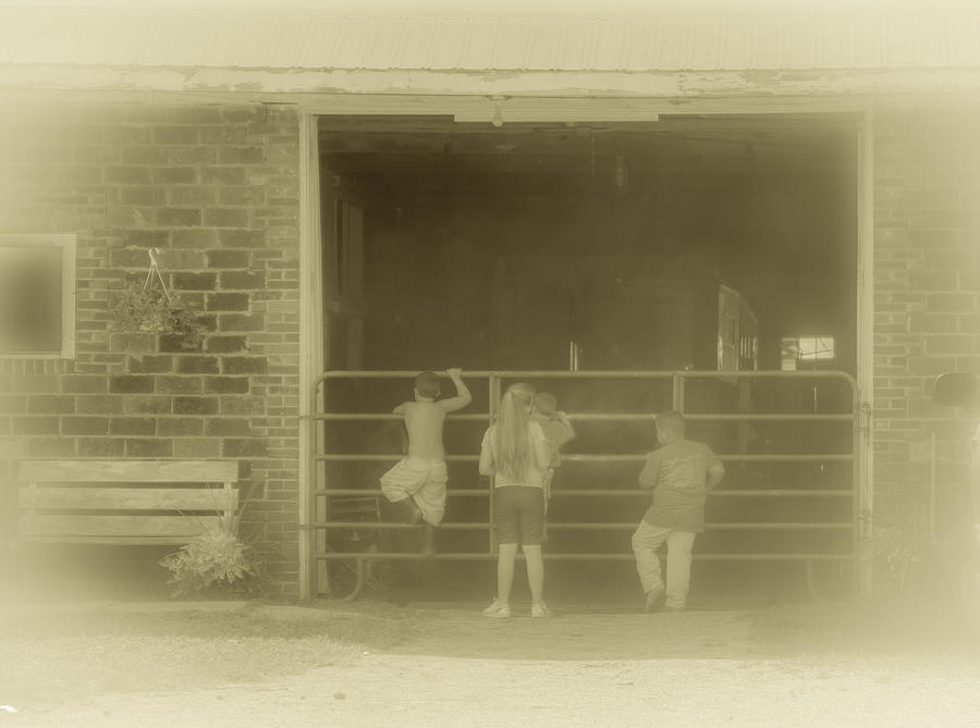 Horse Photograph - The Horse Barn is Timeless by Shirley Tinkham