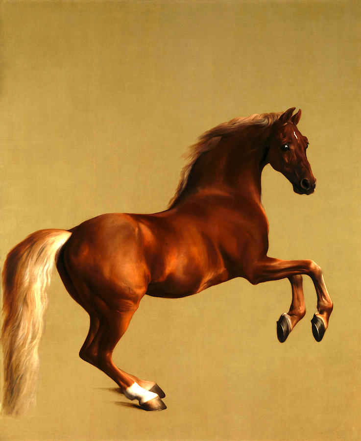 George Stubbs Digital Art - The Horse by George Stubbs