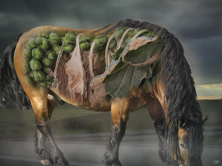 Jet Digital Art - The horse of Mr. Roentgen by Nafets Nuarb