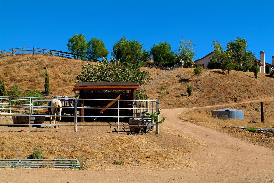 The Horse Ranch 2 Photograph by Richard J Cassato