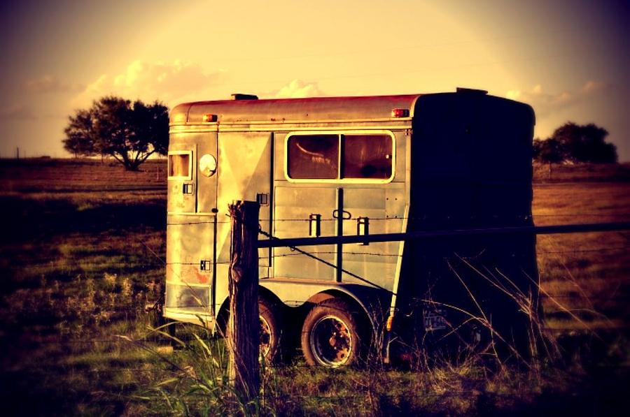 Horse Photograph - The Horse Trailer by Cherie Haines