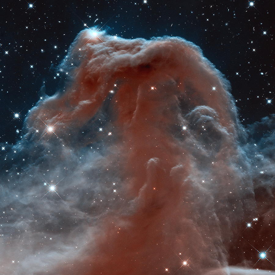The Horsehead Nebula Photograph by Eric Glaser
