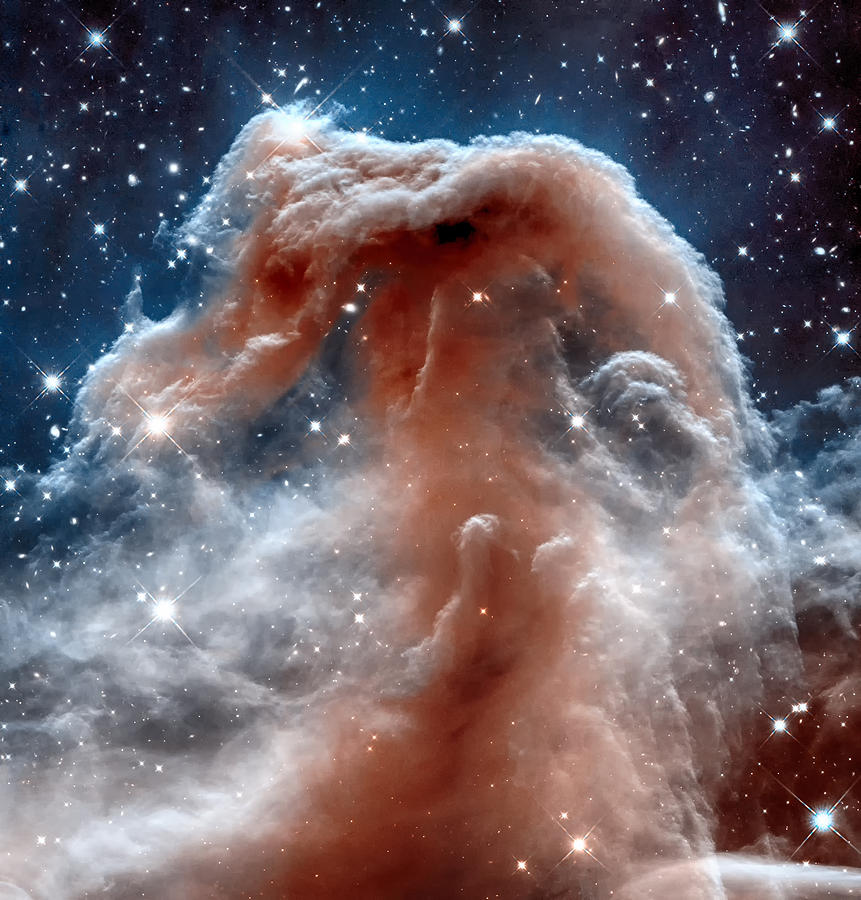 The horsehead Nebula Photograph by Eti Reid