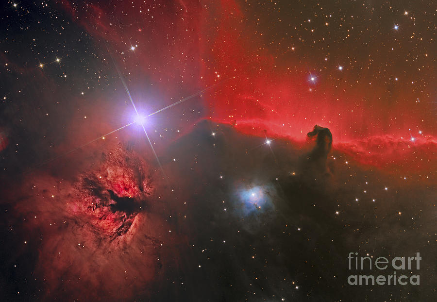 Space Photograph - The Horsehead Nebula by Reinhold Wittich