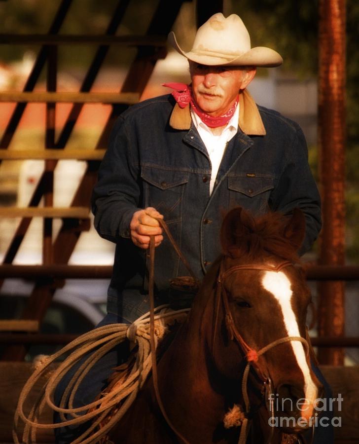 The Horseman Photograph by Gus McCrea