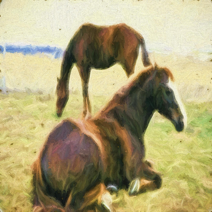 The Horses Digital Art by Cathy Anderson
