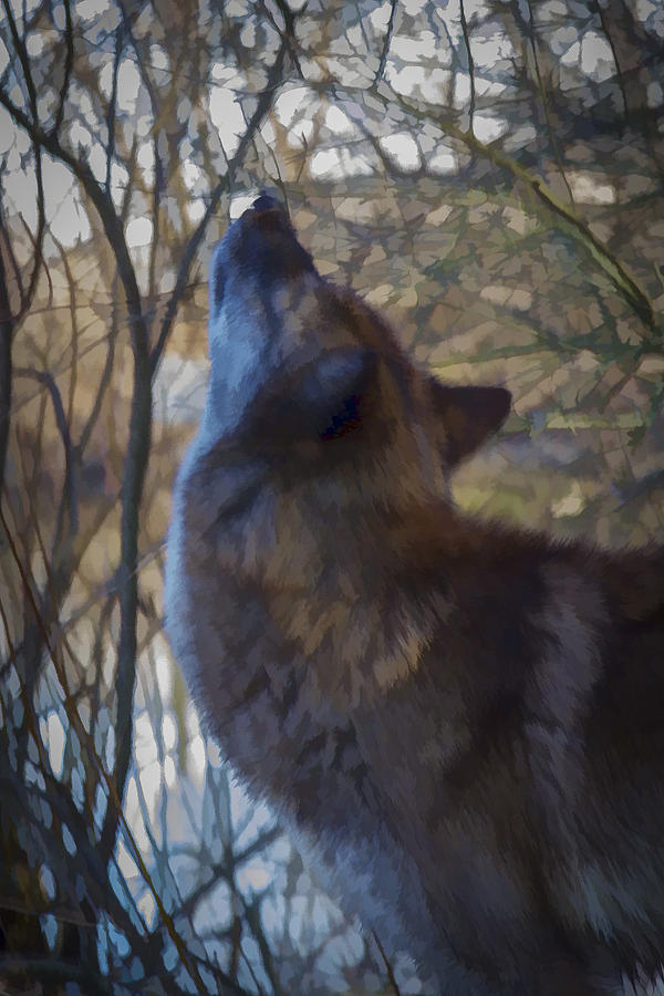 The Howl Photograph by Jack R Perry