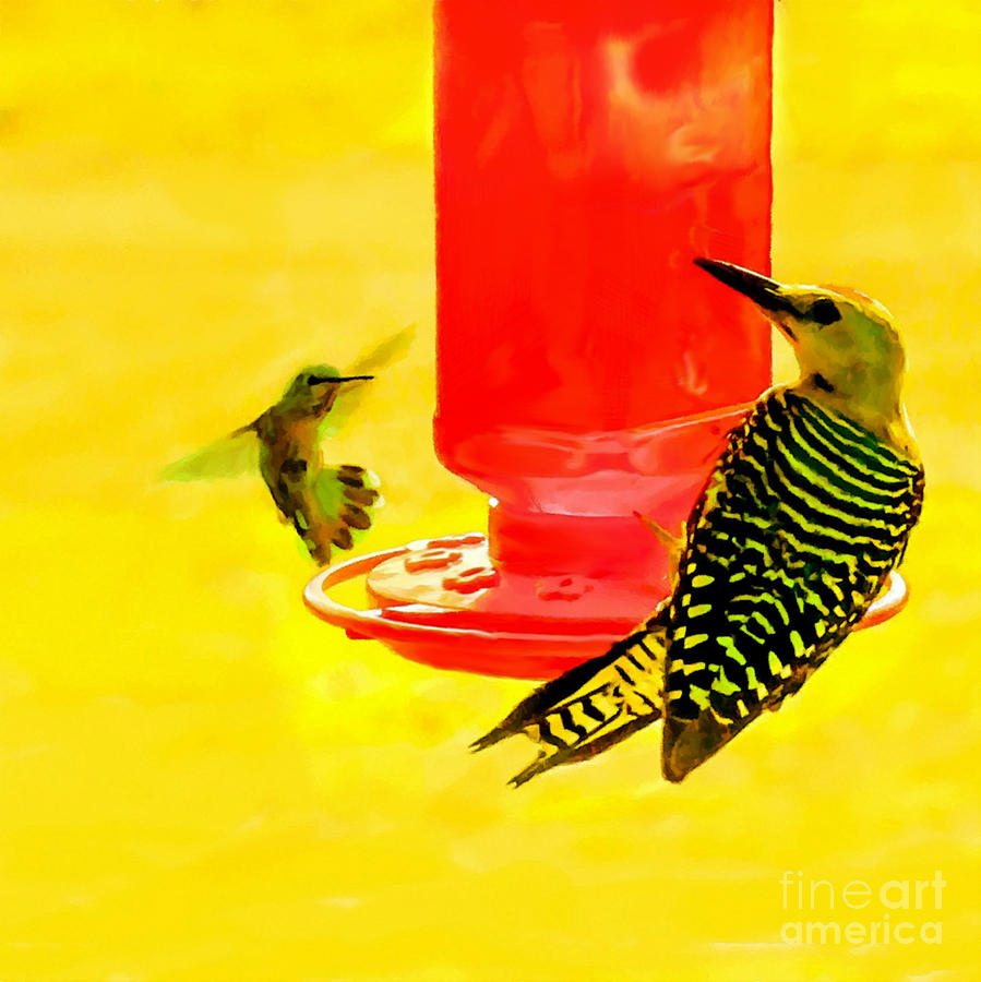 Hummingbird Painting - The Humming Bird and Gila Woodpecker by Bob and Nadine Johnston