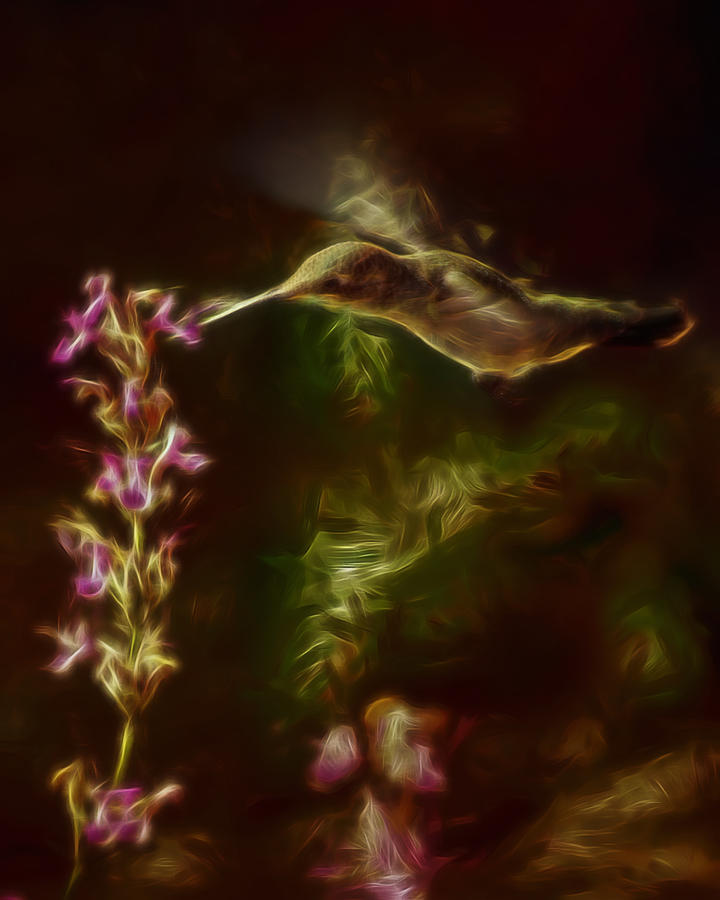 The Hummingbird Digital Art Digital Art by Ernest Echols